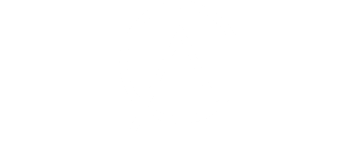 The Aesthetic Company Logo